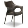silla-olimpia-cafe